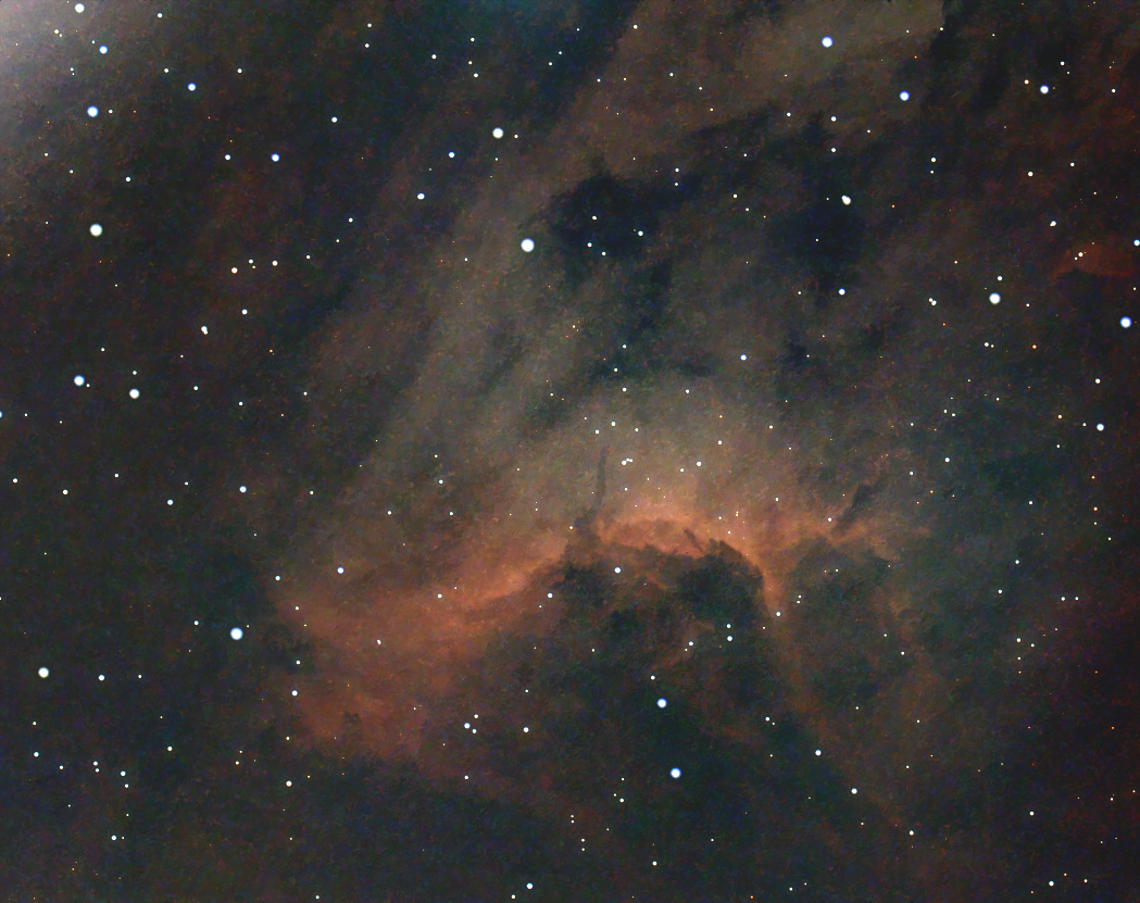 Pelican 1