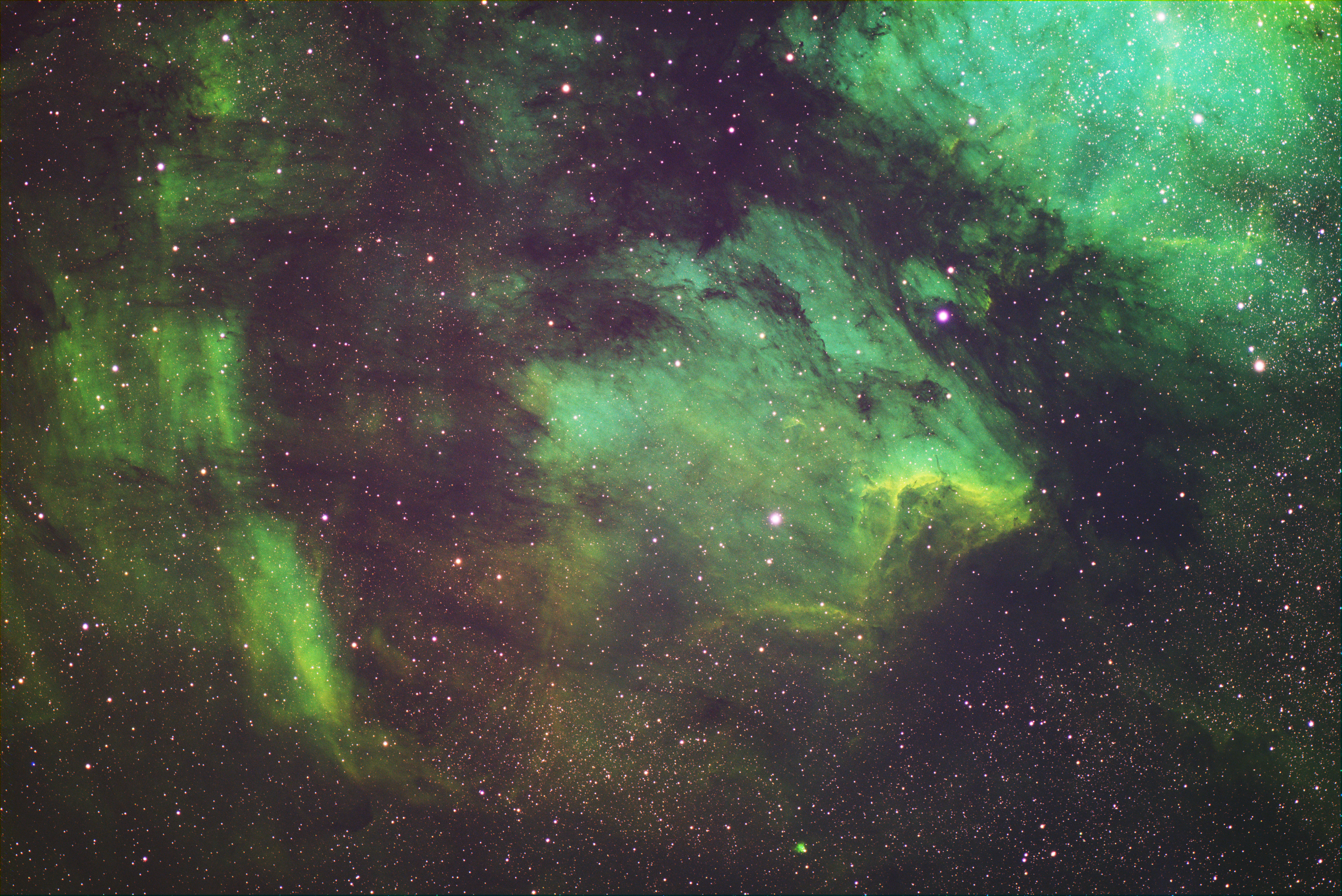 The Pelican Nebula (IC 5070)