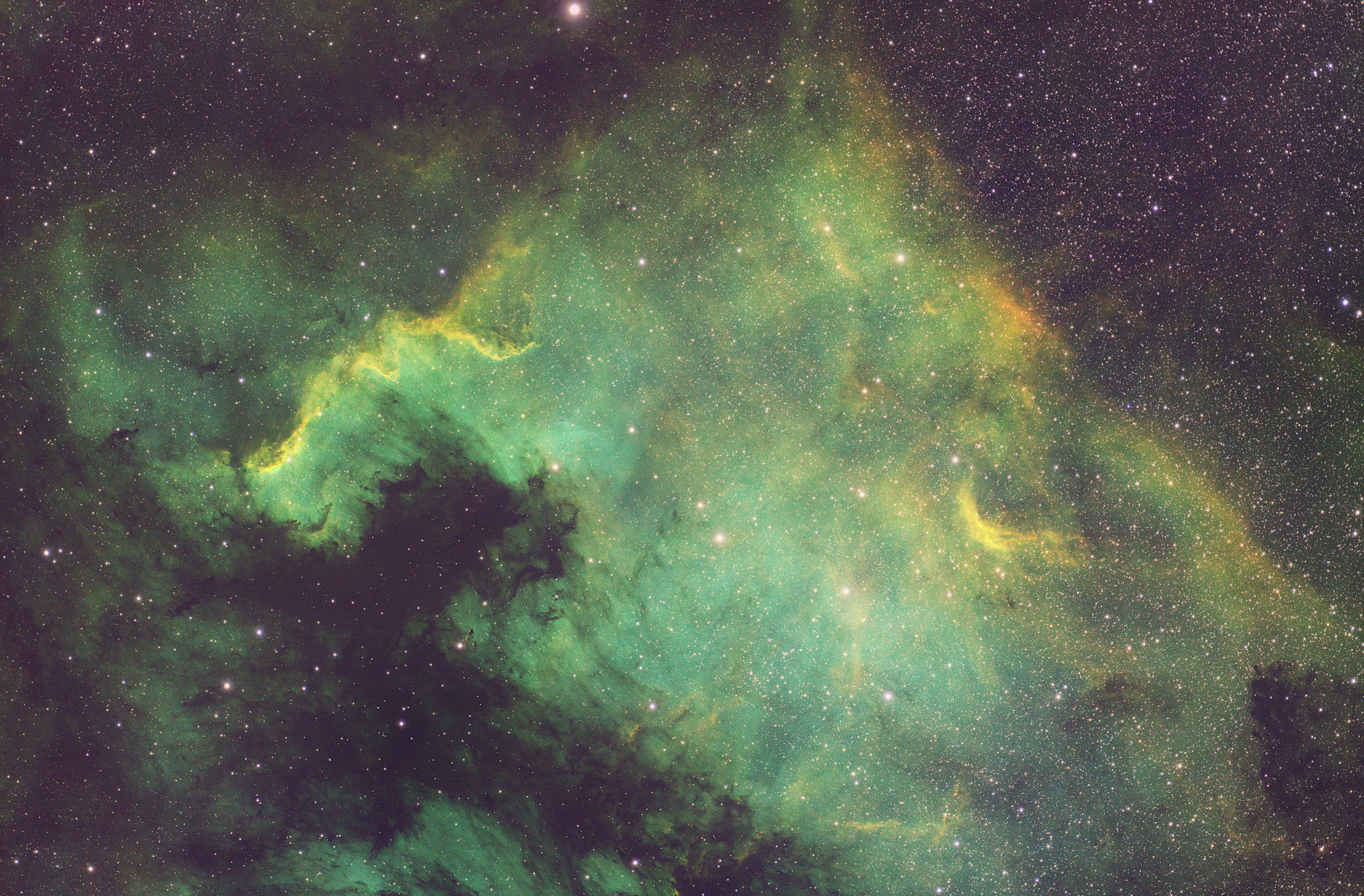 The North American Nebula (NGC 7000)