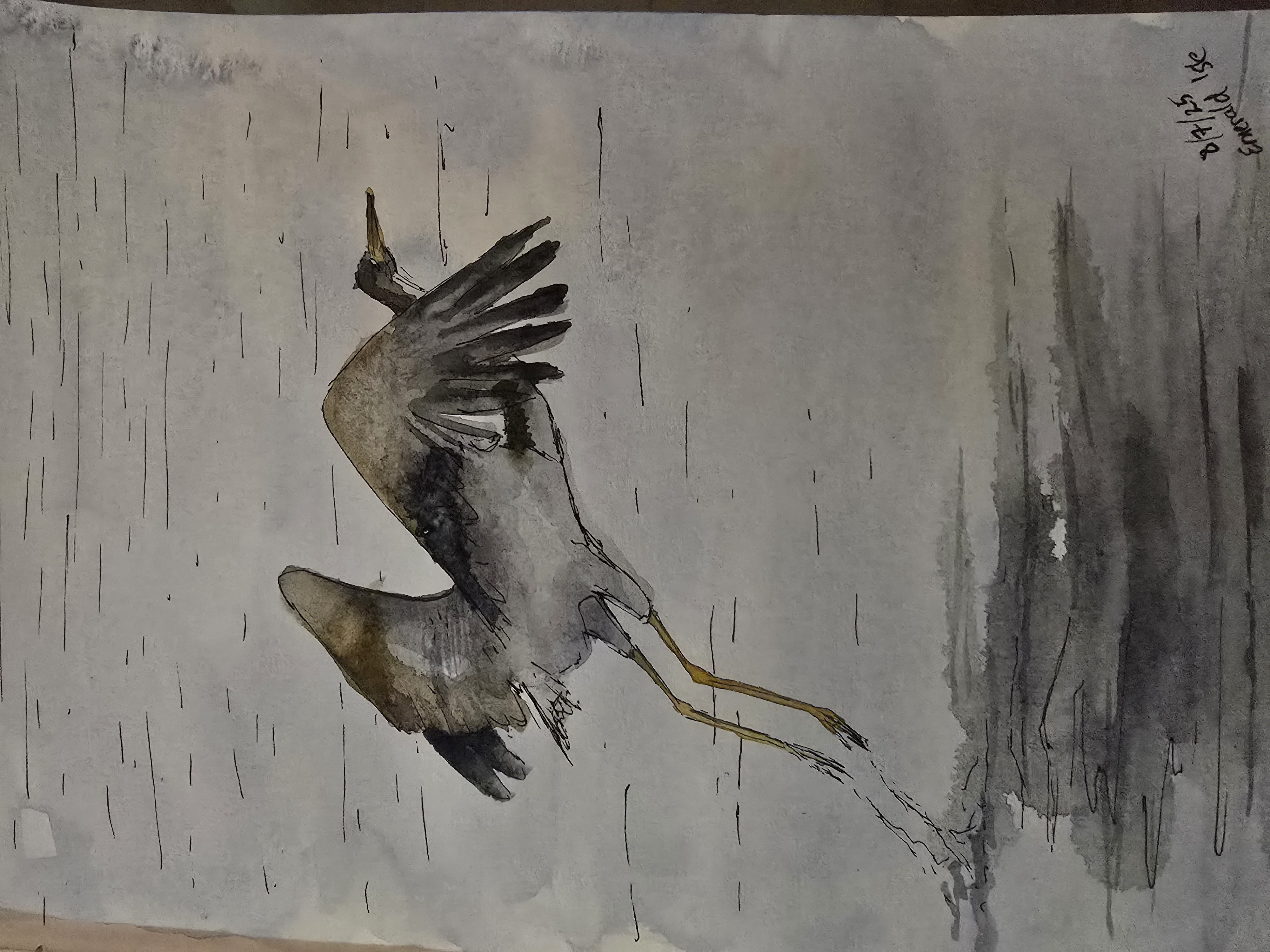 heron